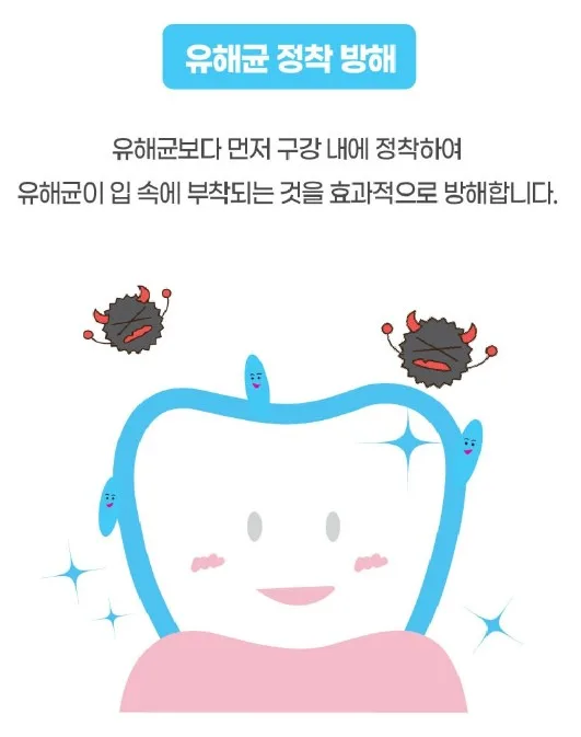 상품코드 : NY007 로보카폴리 덴티자일리톨 특허 구강유산균 2g 200정
