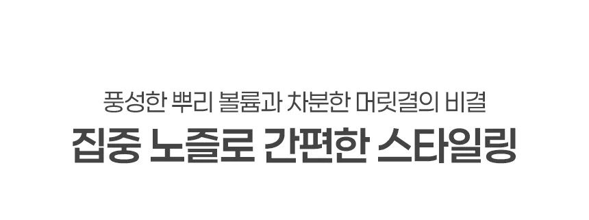 상품코드 : BE022 [벤하임] BLDC 제트 드라이어 퍼플 001DBK (카톤발주용))