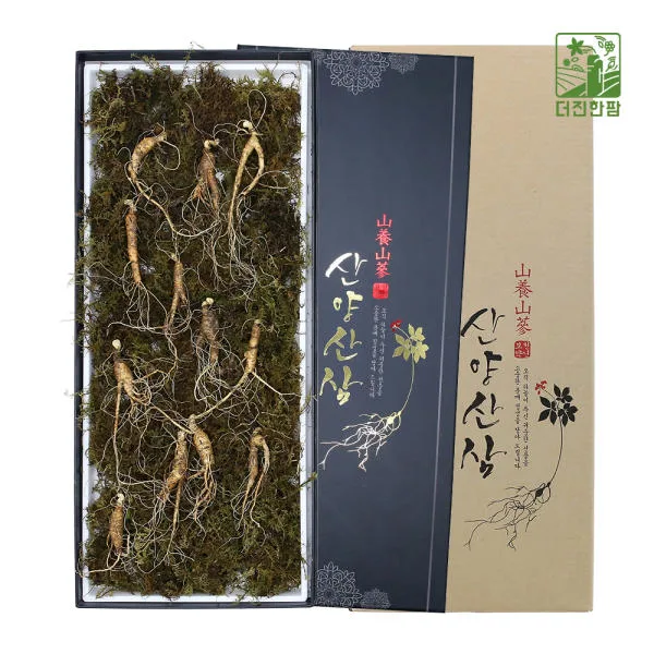 [더진한팜] 기운내삼 6-7년근 산양산삼 12뿌리