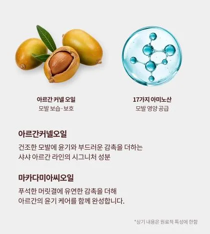 [샤샤] 아르간 오일 노워시 트리트먼트 인텐스 리페어 300ml