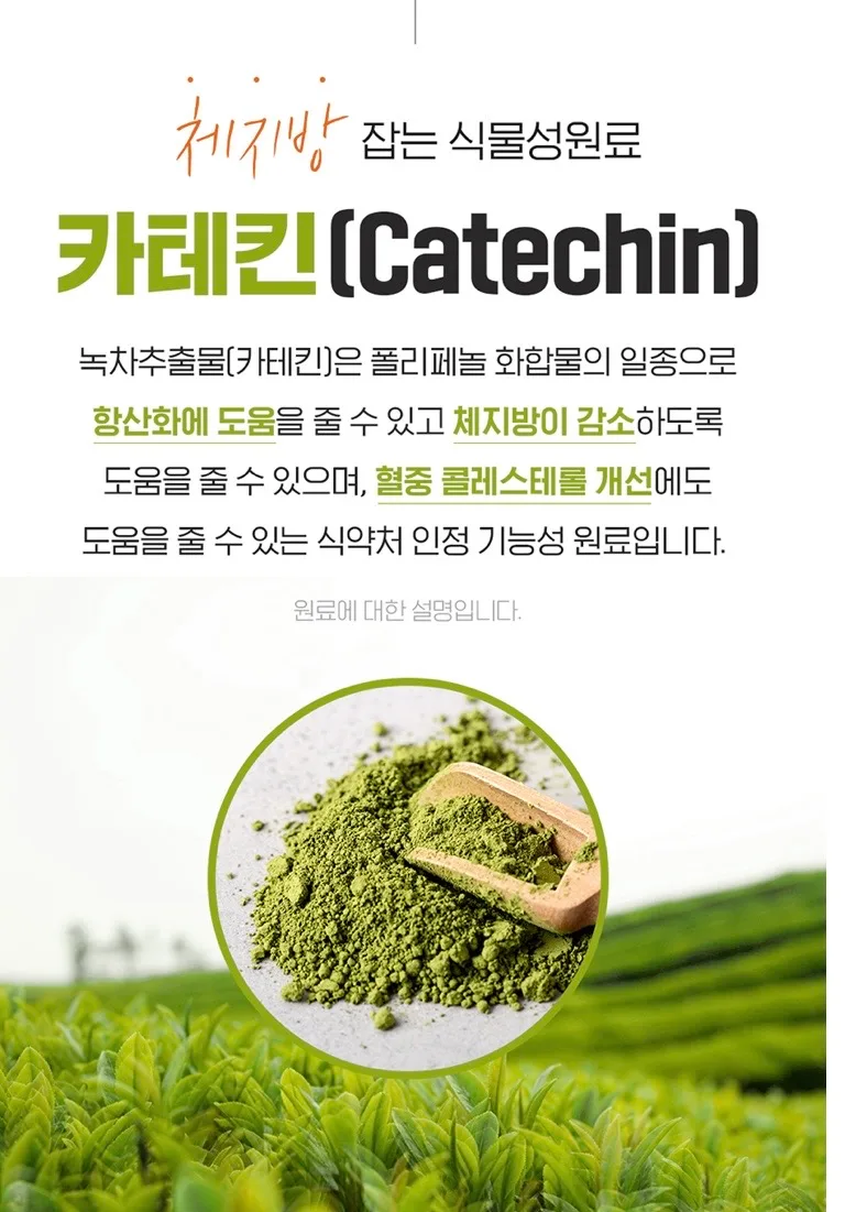카테킨 정 플러스 1100mgX28정