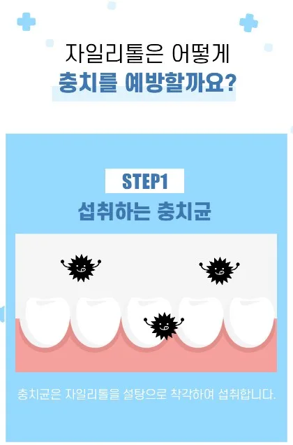 상품코드 : NY009 로보카폴리 제로당 자일리톨 캔디 40g