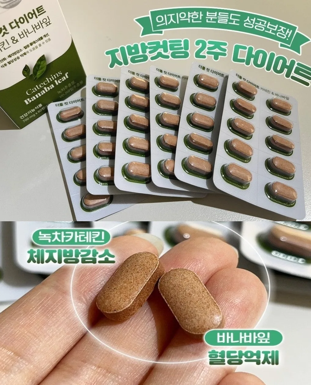 모태비만 탈출 더블컷 카테킨 & 바나바잎 (60정)