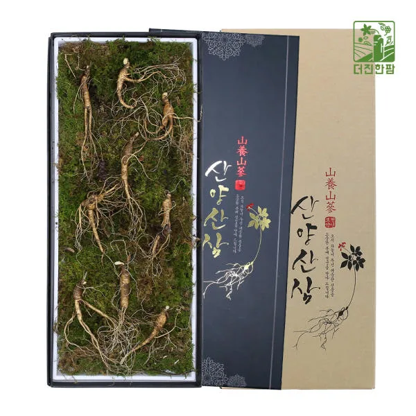 [더진한팜] 기운내삼 8-9년근 산양산삼 9뿌리