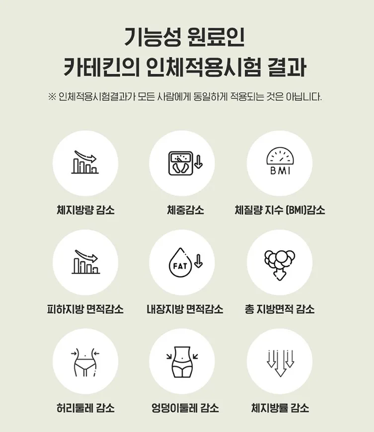 카테킨 정 플러스 1100mgX28정