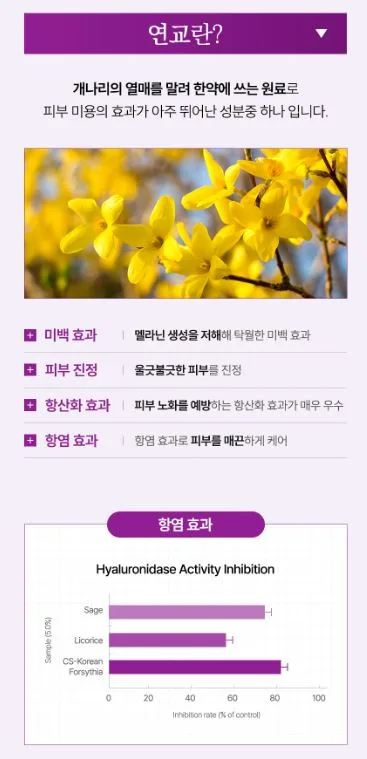 [코리아나] 한방미인 화영지 6종세트