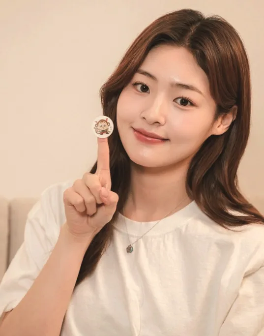 (벌레기피용 인증) 십이지신 썸머패치 48매
