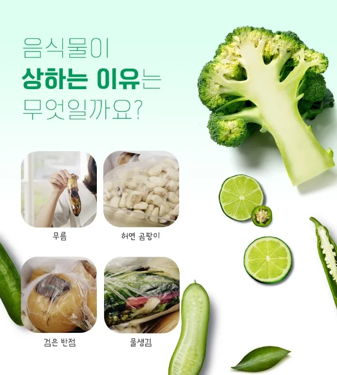 상품코드 : ASL003 저장혁명 신선보관 마법 롱롱그린백