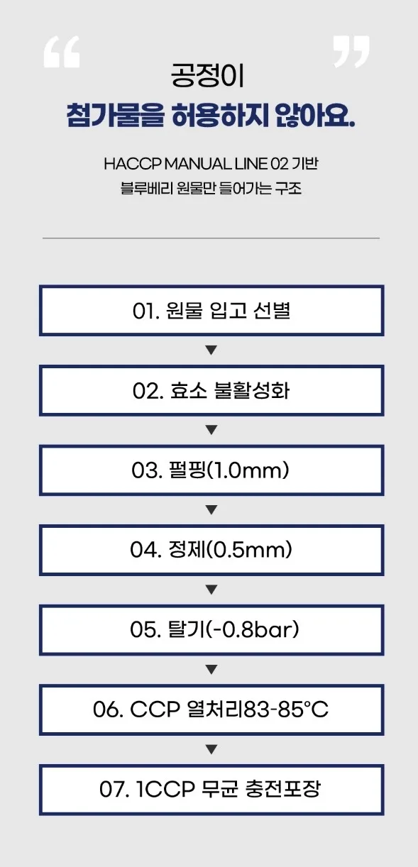 시너지엔 블루베리 퓨레 100