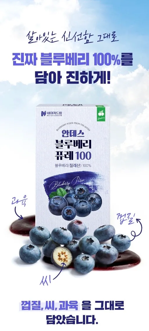 안데스 블루베리 퓨레100 20g 14포 1박스