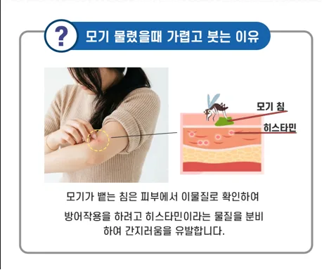 상품코드 : ATB001 국내특허 안티버그 ATB 모기케어 휴대용 필수템