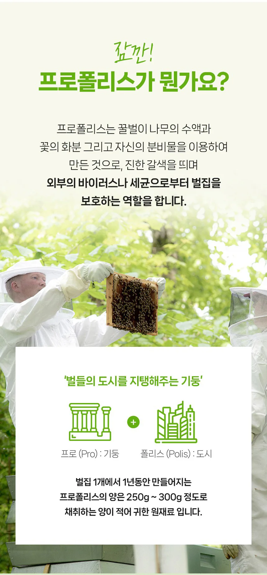 상품코드 : MN004 [마더네스트] 프로폴리스 스프레이 위드 마누카 허니 30ml