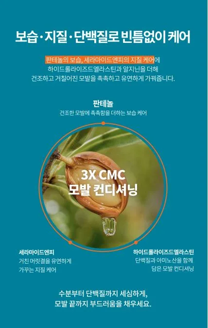 [샤샤] 아르간 오일 노워시 트리트먼트 인텐스 리페어 300ml