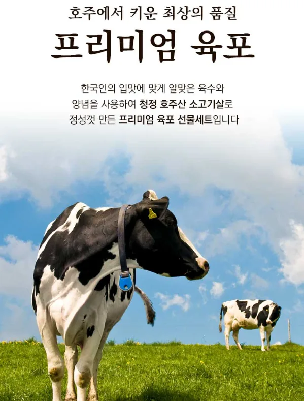 상품코드 : H3923 [기품맛담] 시그니처 소고기육포 선물세트 2호 (60g*6팩/360g)