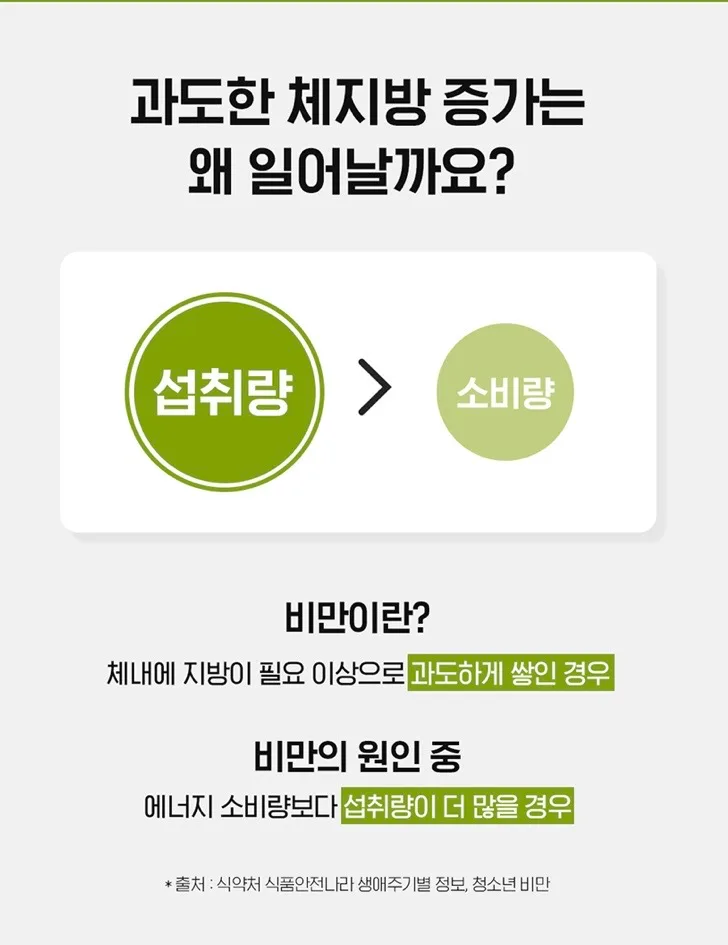 카테킨 정 플러스 1100mgX28정