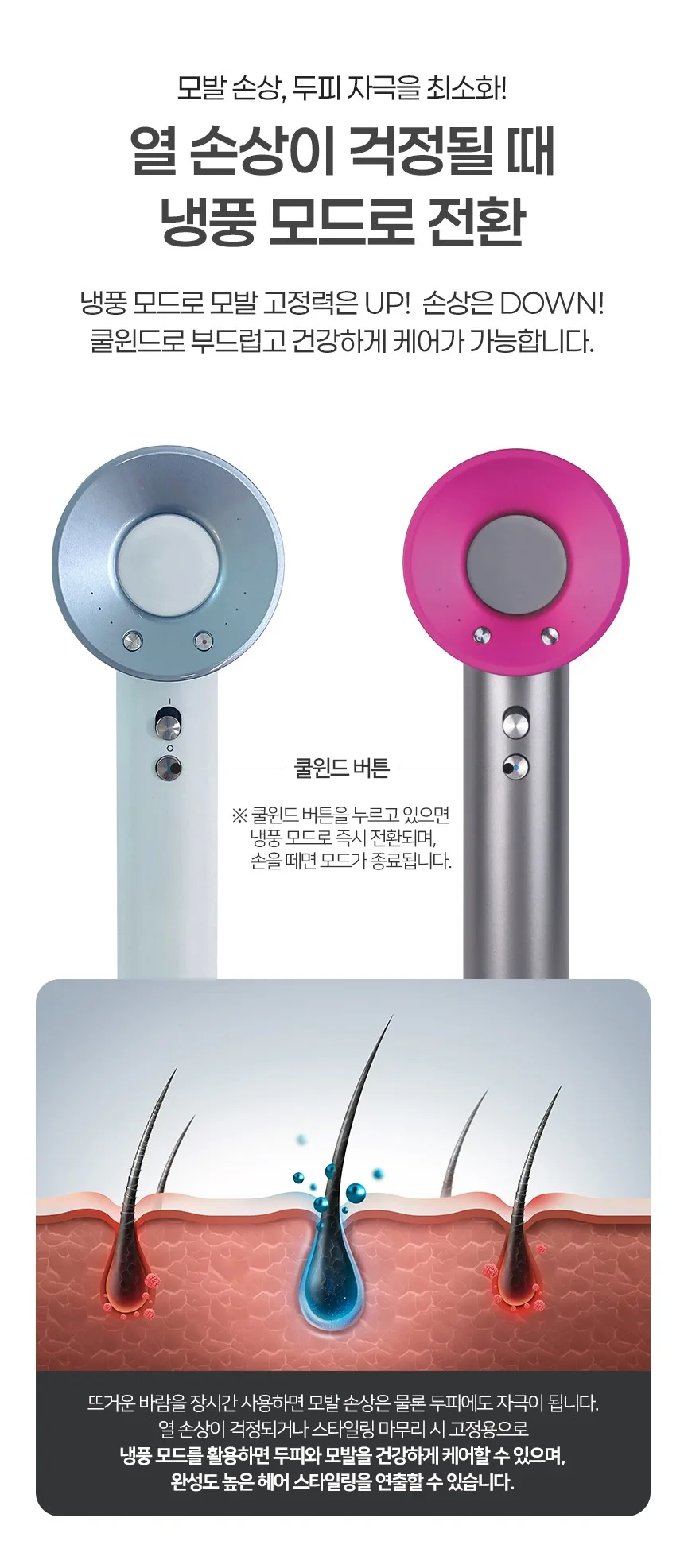 상품코드 : BE022 [벤하임] BLDC 제트 드라이어 퍼플 001DBK (카톤발주용))