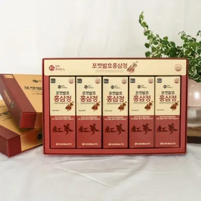 [대한홍삼] 포켓발효홍삼정 스틱 10g x 30포