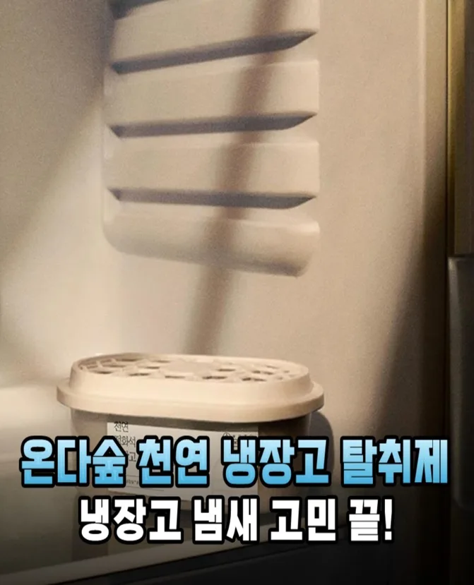 온다숲 반영구 숯10배 냉장고탈취제 300g