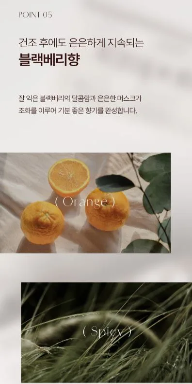 템포러리 퍼퓸 건조기시트 블랙베리향 40매입