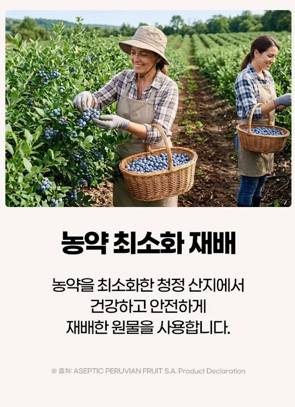 시너지엔 블루베리 퓨레 100