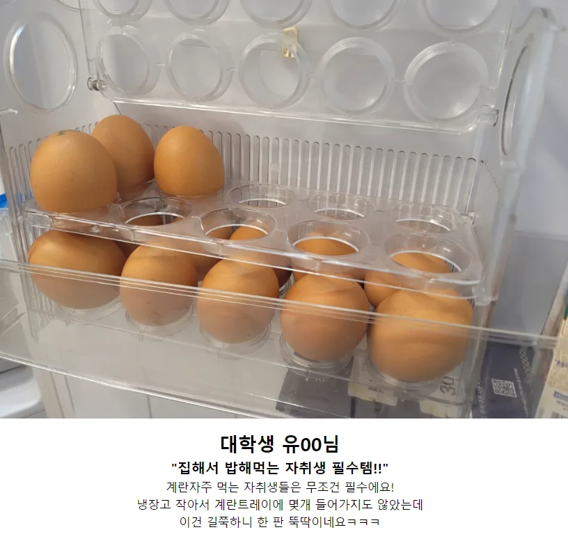 상품코드 : K0310 [아케이] 계란보관함