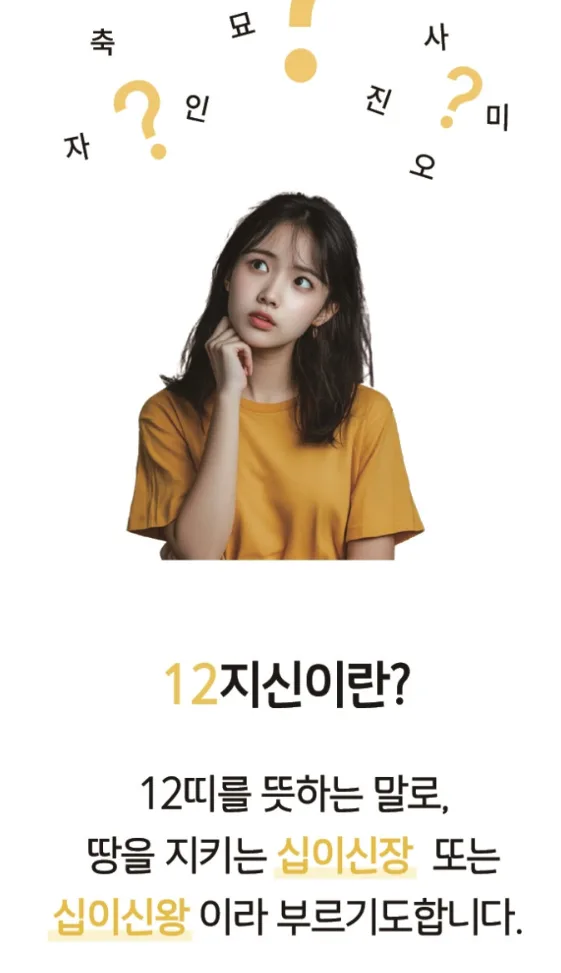 (벌레기피용 인증) 십이지신 썸머패치 48매