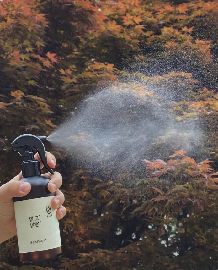 온다숲 계피스프레이 탈취제 250ml