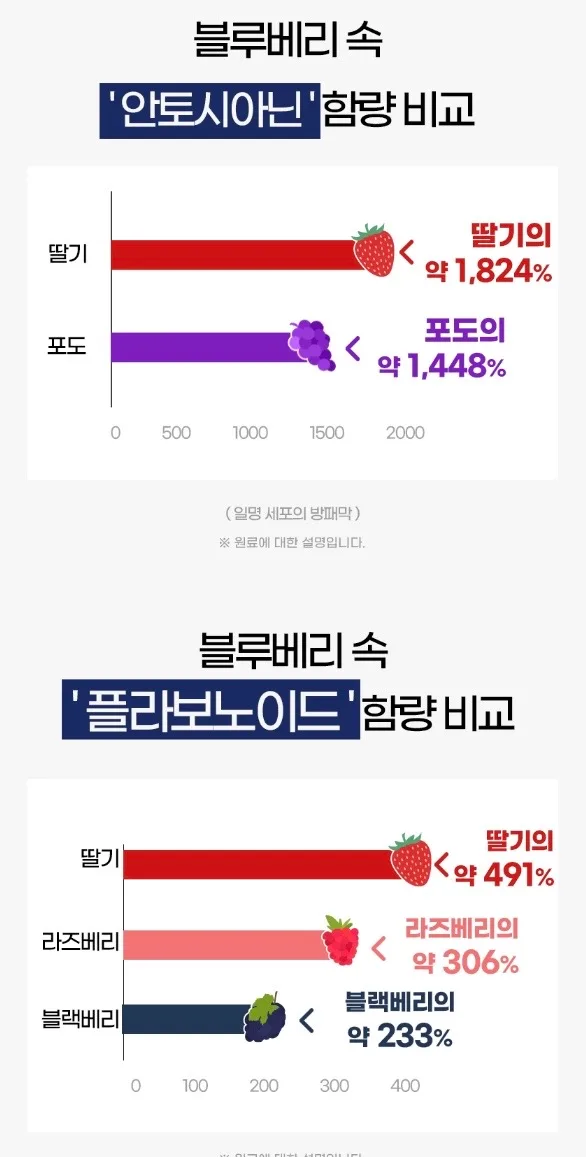 시너지엔 블루베리 퓨레 100