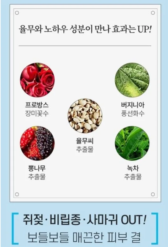 상품코드 : DD004 담다다담 쥐젖 크림 더마클리어스팟크림_20ml (카톤발주용)