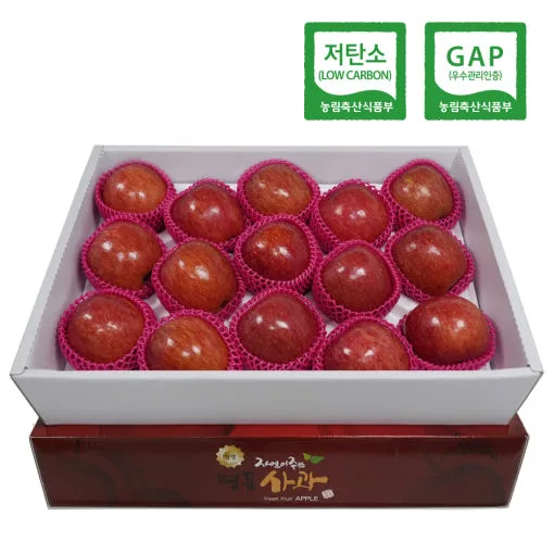 저탄소 GAP 인증 영주 부사 5kg (15과 내외)