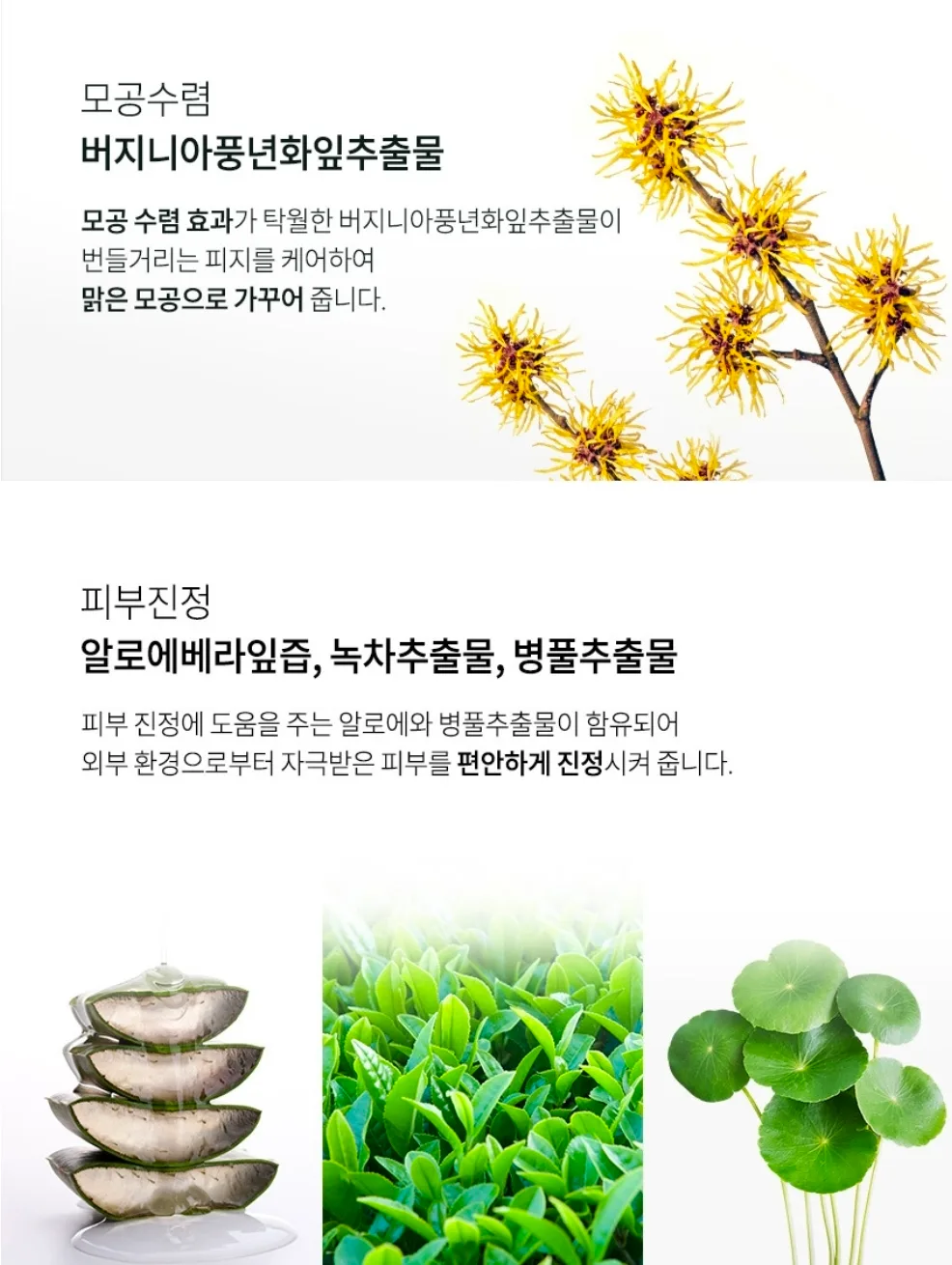 상품코드 : PT004 퓨어덤 옴므 아쿠아 하이드로 올인원 크림 200ml