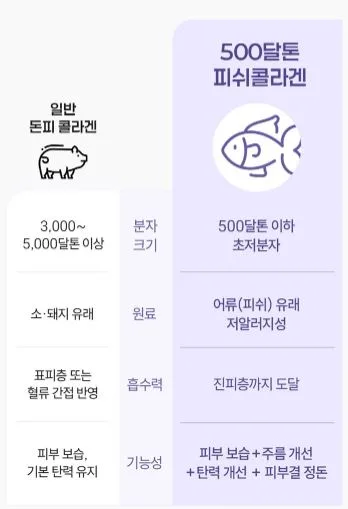 쁘띠 엔엠엔C 이너뷰티 NMN