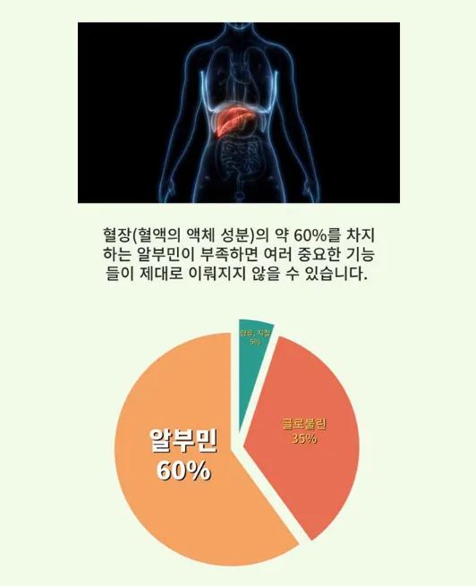 상품코드 : S259 제일 마시는 난백실크 알부민 30포