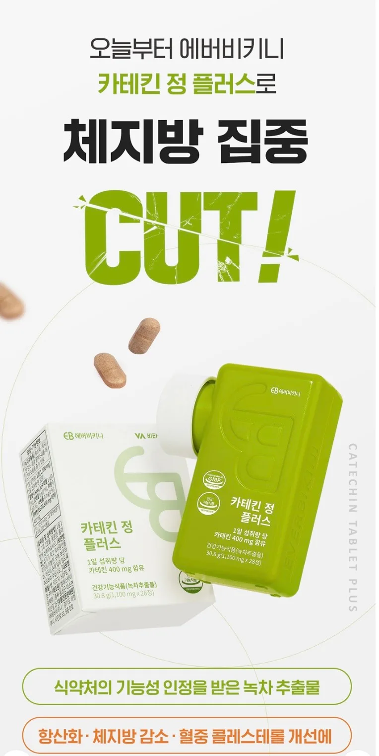 카테킨 정 플러스 1100mgX28정
