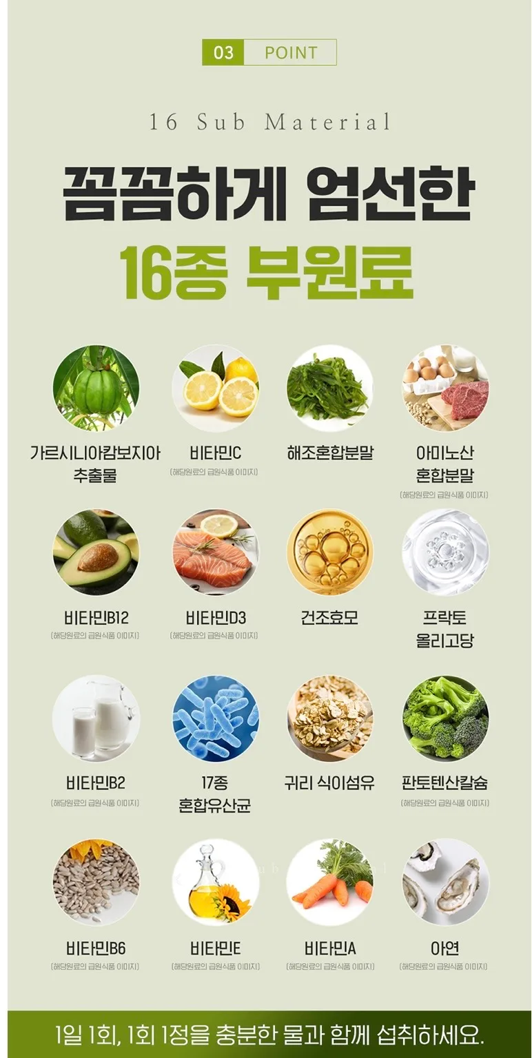카테킨 정 플러스 1100mgX28정