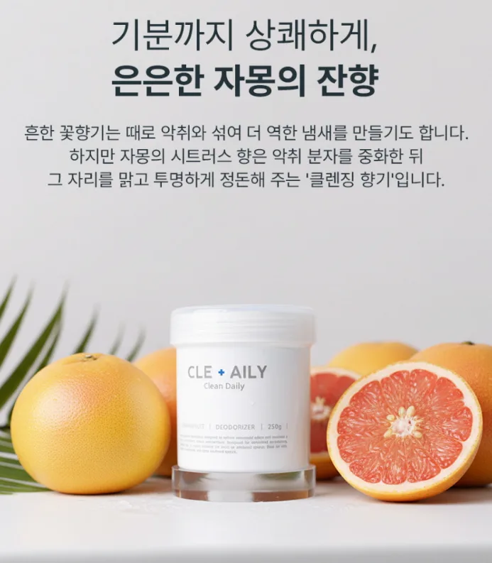 클린데일리 냄새싹흡착 탈취제 자몽향 250g