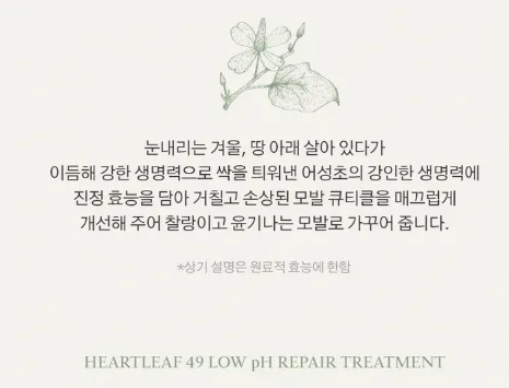 상품코드 : K630 어성초 49 약산성 리페어 트리트먼트 (카톤발주용)