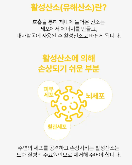 바지오 포켓 건강3종 (비타민C, 미네랄, 마그네슘 택1)