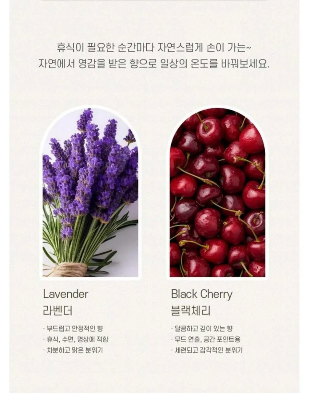 상품코드 : GLB028 아렌 디퓨저 300ml