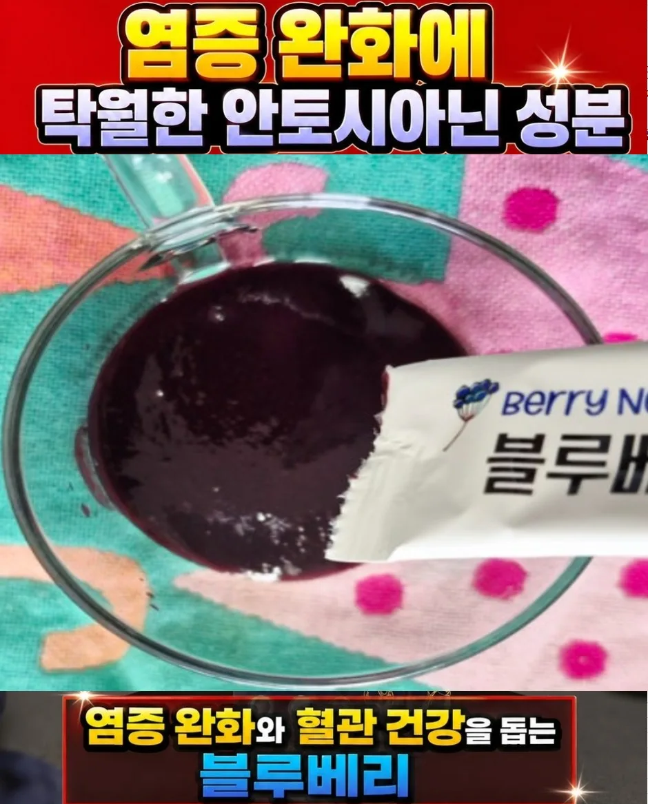 네세서리 블루베리퓨레 100 (20g*14포)