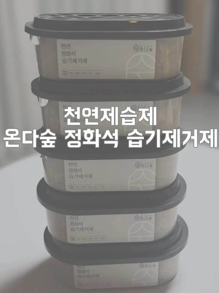 온다숲 국산100% 반영구 천연제습제 300g