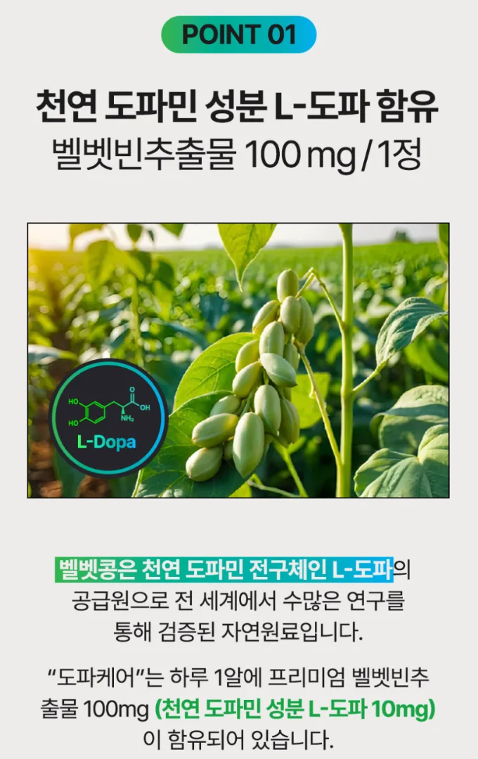 집중력 도파민 영양제 도파케어 30정(1개월분)