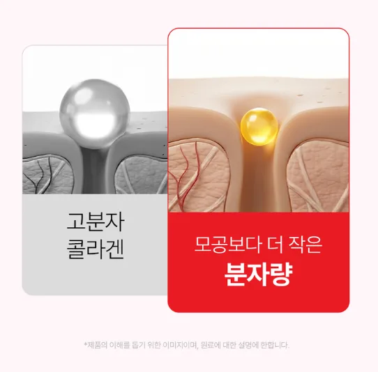 바지오 콜라겐 글로우샷 젤리 10g 10포