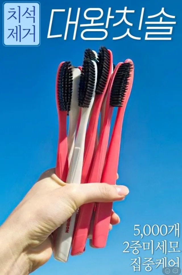 폴메디슨 라차 대왕칫솔 10개입