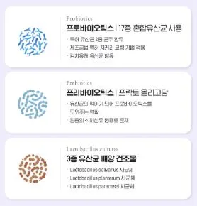 비타민마을 더블유 이너케어 여성유산균 30포