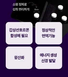 비타민마을 요오드 2400 아연 셀렌 밸런스 영양제 250mg X 90정(3개월분)