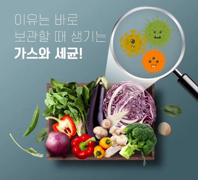 상품코드 : ASL003 저장혁명 신선보관 마법 롱롱그린백