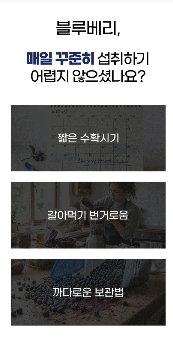 시너지엔 블루베리 퓨레 100