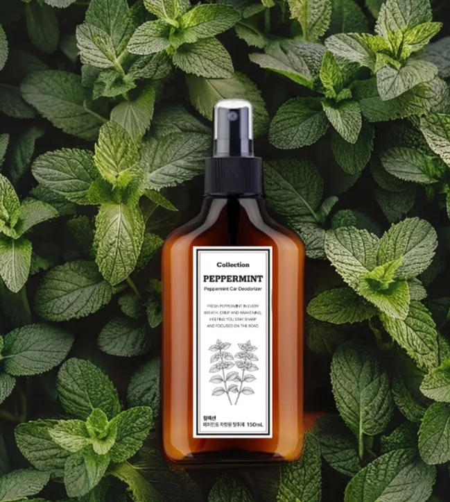 <악취&세균 분해> 컬렉션 차량용 탈취제 150ml 사진 4
