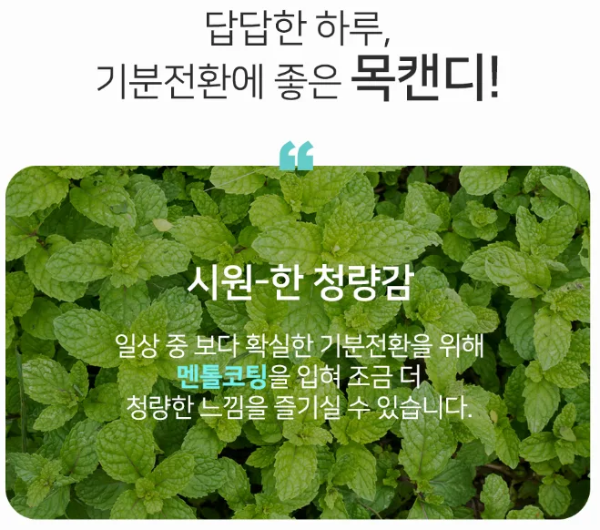 무설탕 목캔디 쿨티쿨티 대용량 120g